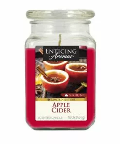 Tuscany Candle Enticing Aromas™ Apple Cider Soy Blend Jar Candle - 16 Oz | Long-Lasting Fragrance | Eco-Friendly Home Decor