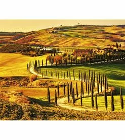 Dimex Tuscany Un-Pasted 12'3" X 4'9" Wall Mural - Premium Designer Wallpaper